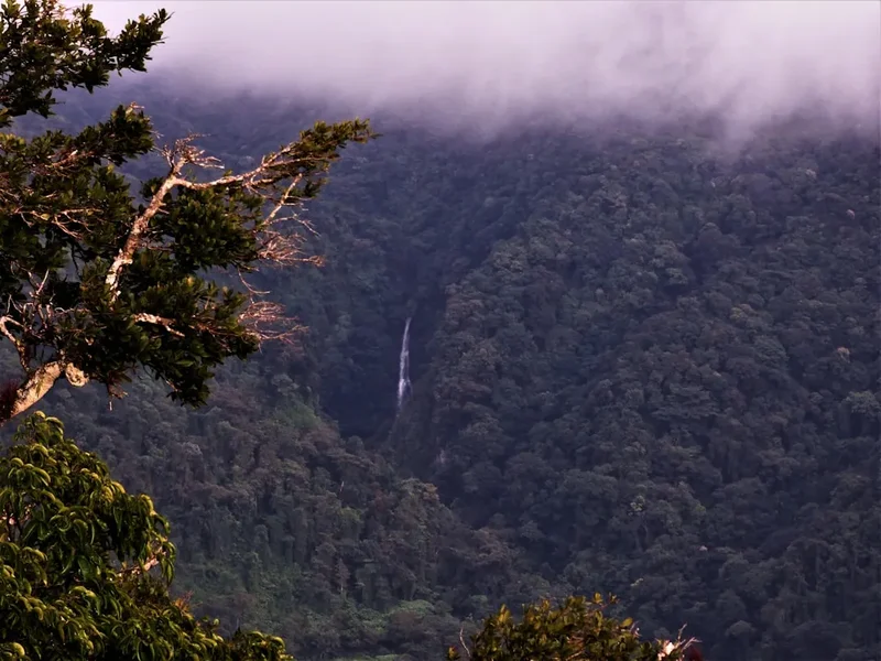 Mountain and nature scenery on the Monteverde Cloud Forest Trail