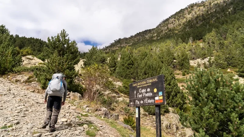 Mountain and nature scenery on the Montnegre Corredor Trails