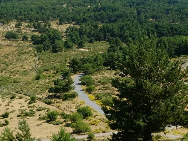 Hiking trail path on the Montseny Park Loop