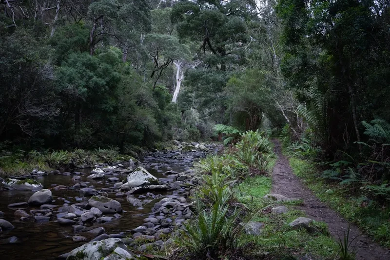 Hiking trail path on the Morialta Falls Trail