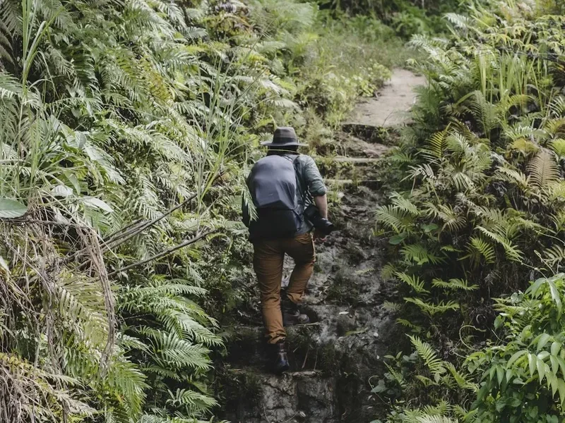 Hiking trail path on the Mount Apo Climb