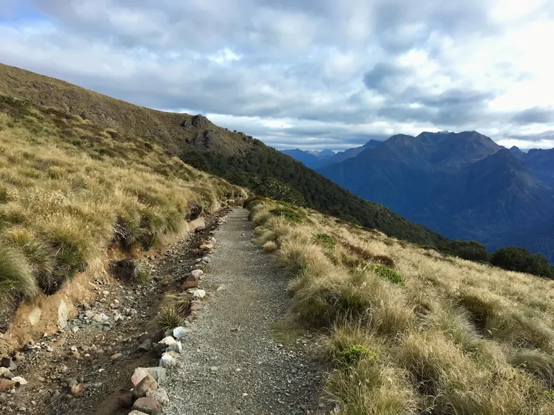 Hiking trail path on the Mount Arthur Summit