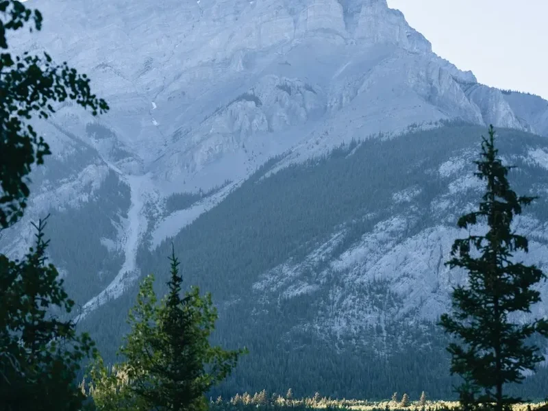 Forest and landscape view on the Mount Asgard Approach