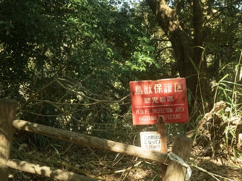 Hiking trail path on the Mount Aso Crater Walk