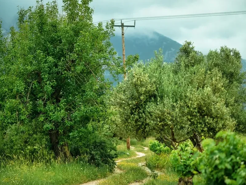 Hiking trail path on the Mount Athos Pilgrimage