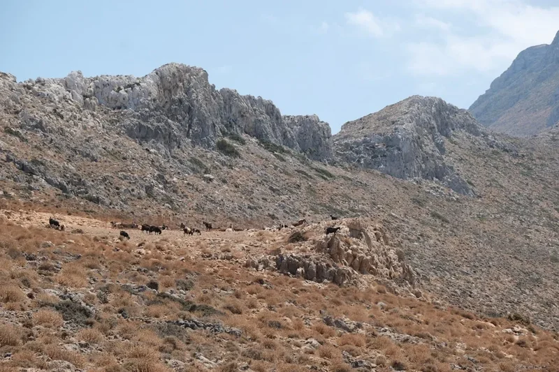 Mountain and nature scenery on the Mount Athos Pilgrimage