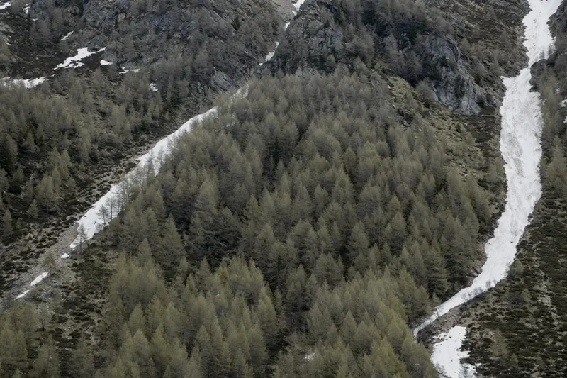 Forest and landscape view on the Mount Etna Summit Trail