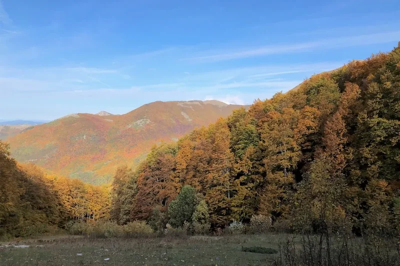 Forest and landscape view on the Mount Etna Traverse