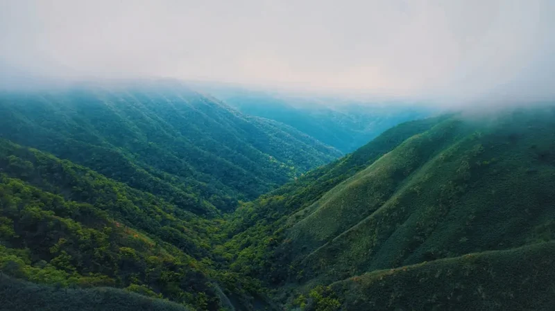 Forest and landscape view on the Mount Hehuan Main Peak