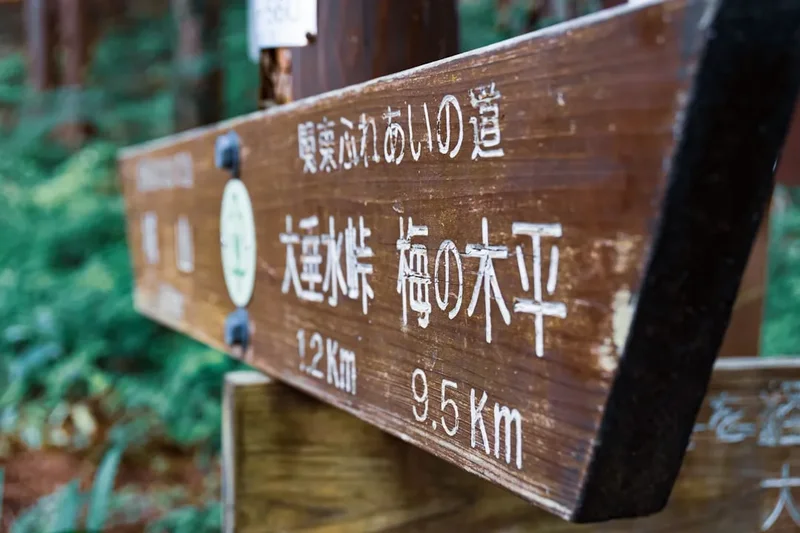 Hiking trail path on the Mount Hiei Pilgrimage