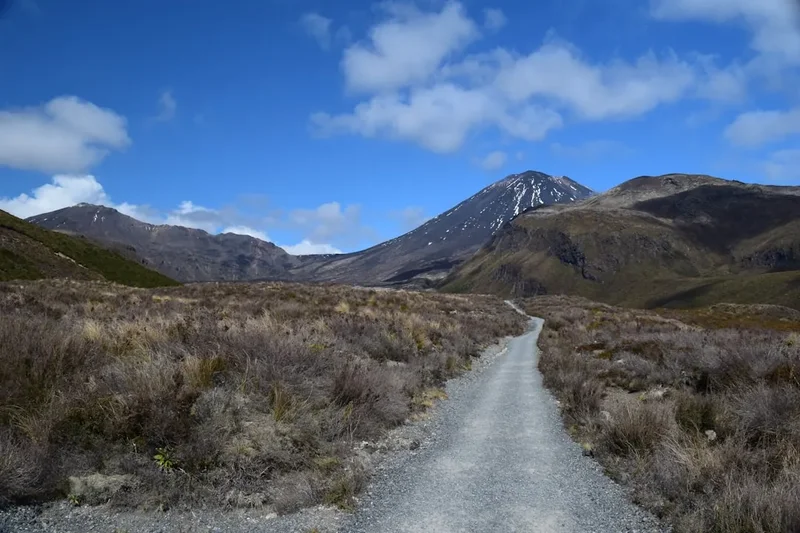 Hiking trail path on the Mount Karioi Track