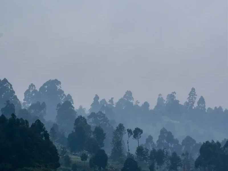 Mountain and nature scenery on the Mount Kenya Summit