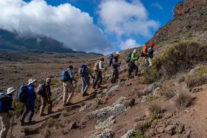 Hiking trail path on the Mount Kilimanjaro Day Hike