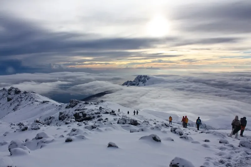 Forest and landscape view on the Mount Kilimanjaro Trek