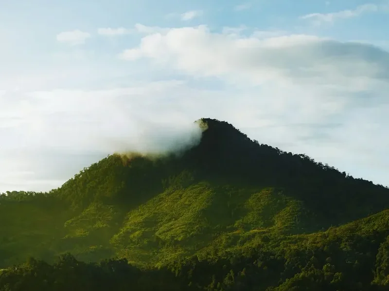 Mountain and nature scenery on the Mount Kinabalu Climb