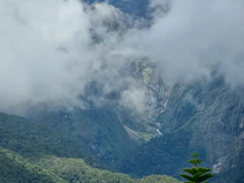 Mountain and nature scenery on the Mount Mulu Pinnacles