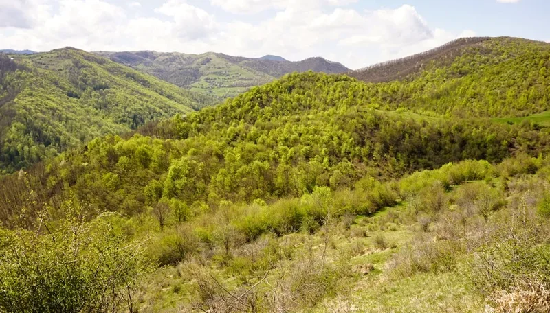 Forest and landscape view on the Mount Nemrut Trail