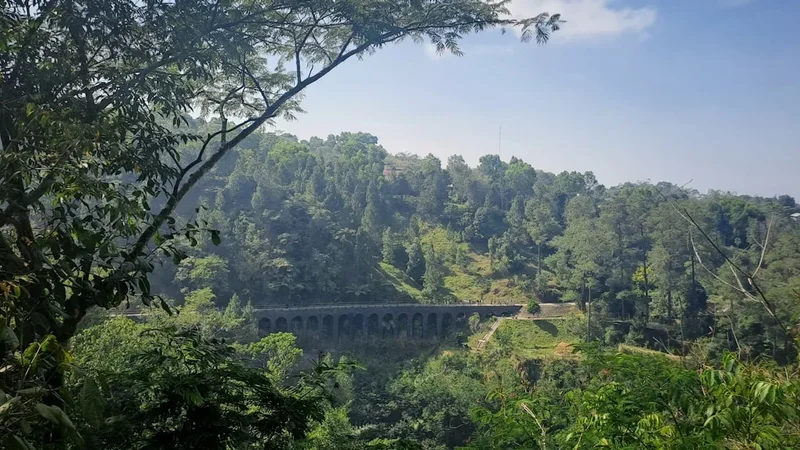 Forest and landscape view on the Mount Rinjani Trek