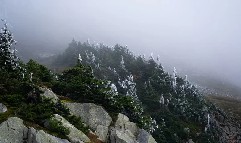 Mount Shasta Summit Trail - Visual 1