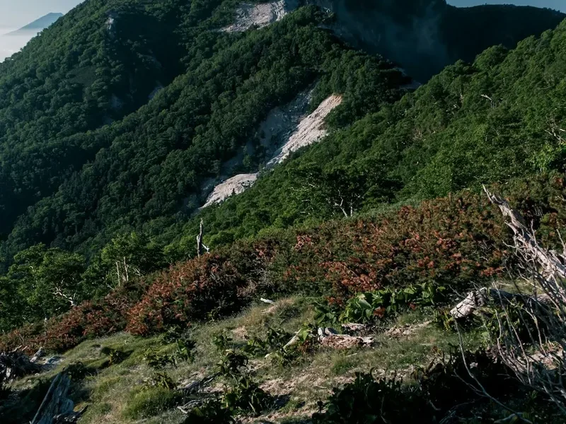 Mountain and nature scenery on the Mount Takao Hike