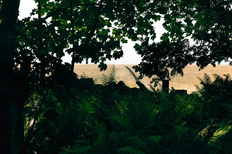 Mount Takao Trail - Visual 1