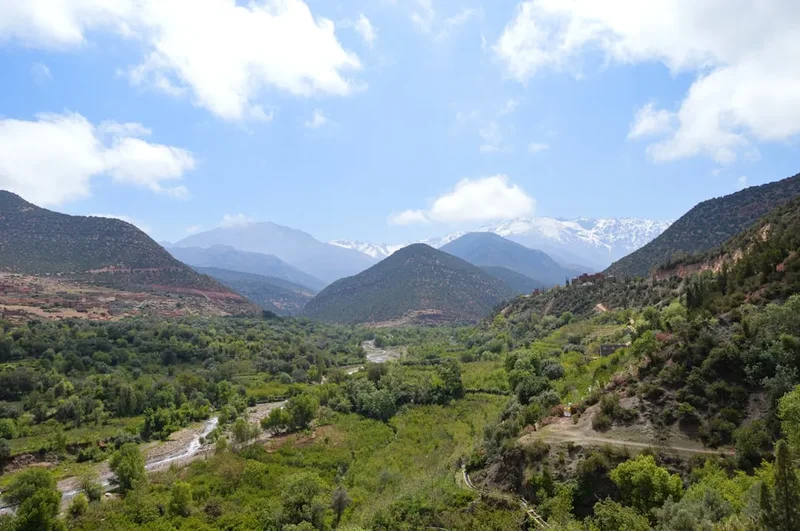 Forest and landscape view on the Mount Toubkal