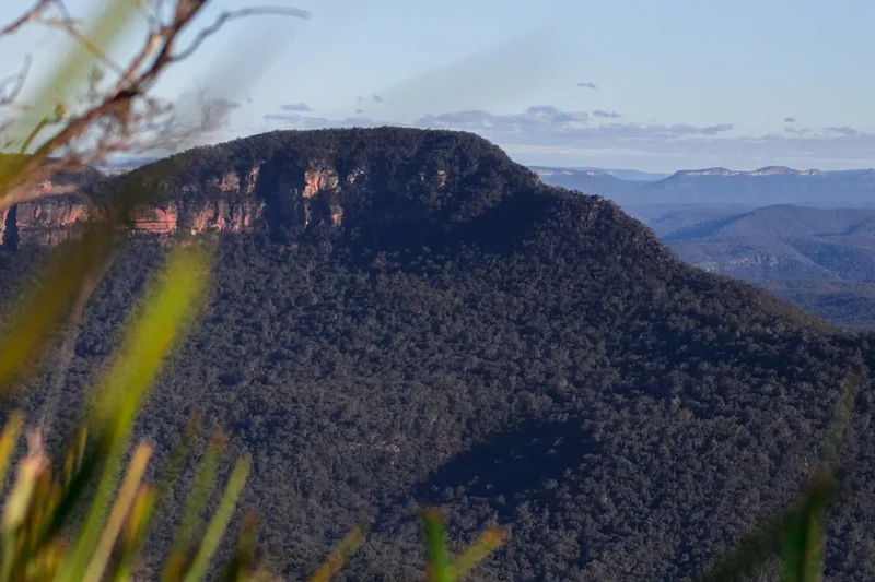 Mountain and nature scenery on the Mount Zeil Approach
