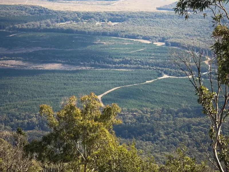Forest and landscape view on the Mount Zeil Approach