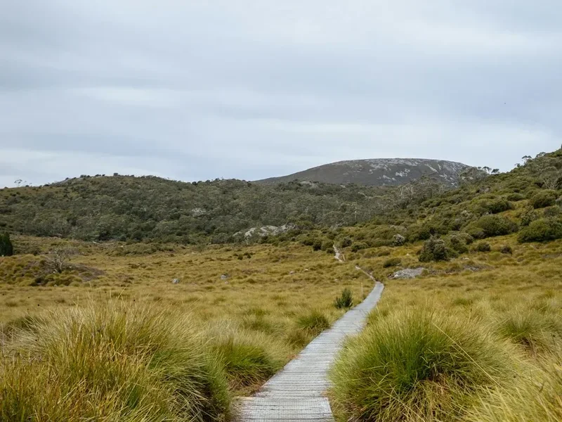 Hiking trail path on the Mt. Kosciuszko Summit Walk