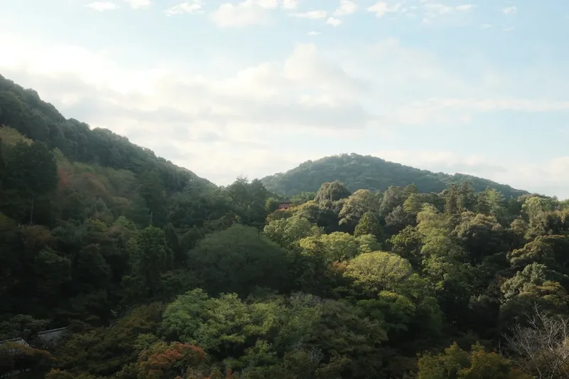 Forest and landscape view on the Norikura Kogen Trails