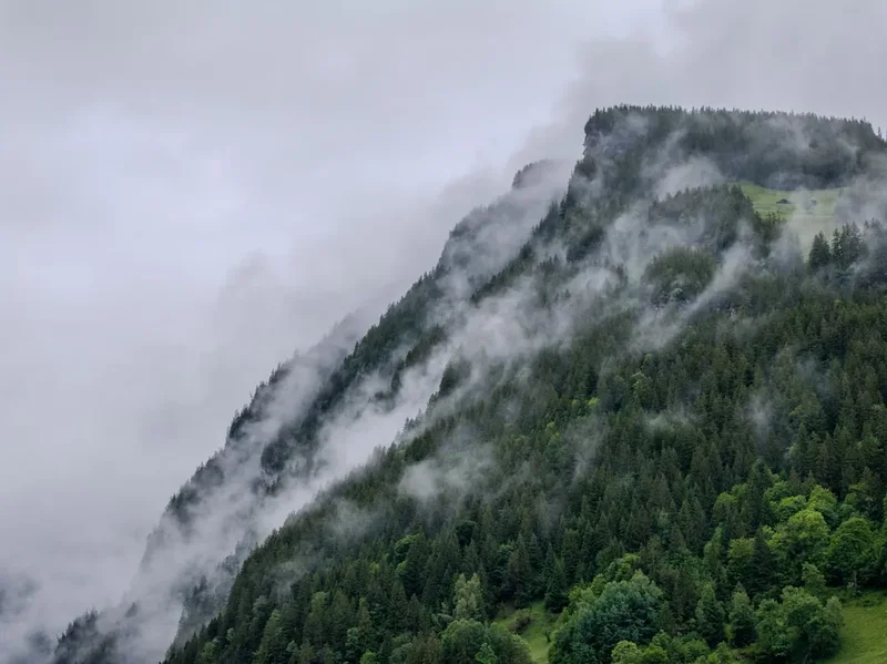 Mountain and nature scenery on the Obersteinberg Hike