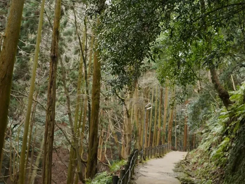 Hiking trail path on the Oirase Gorge Trail