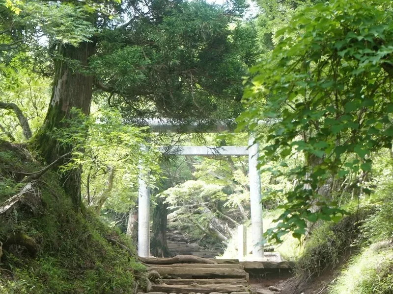 Hiking trail path on the Onsen Zao Trail