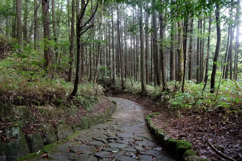 Forest and landscape view on the Onsen Zao Trail