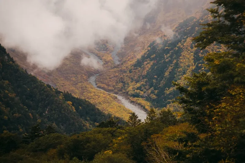 Hiking trail path on the Oze National Park Hike