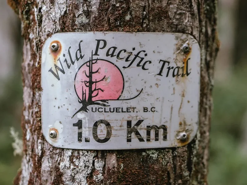 Hiking trail path on the Pacific Rim Trail