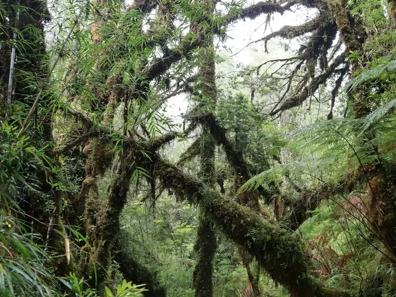 Paine Circuit - Visual 2