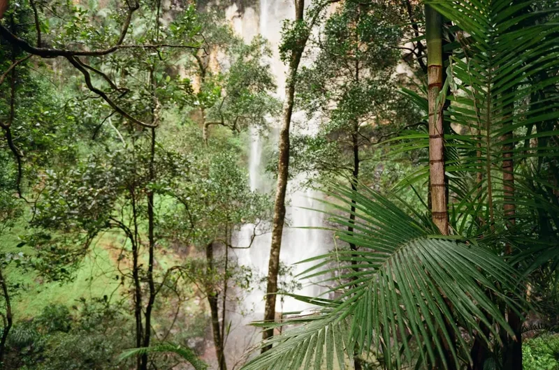 Mountain and nature scenery on the Palm Valley Walk