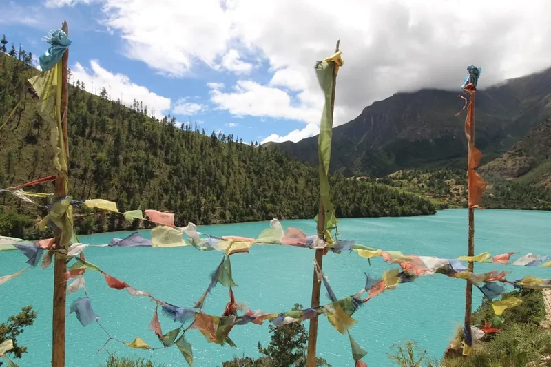 Forest and landscape view on the Phoksundo Lake Trek