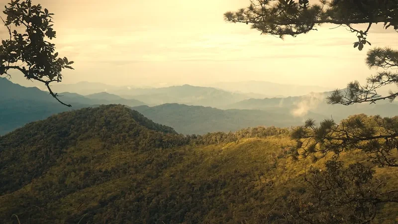 Mountain and nature scenery on the Phu Kradueng Trail