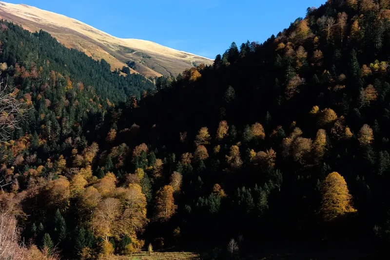 Forest and landscape view on the Pic Midi Bigorre