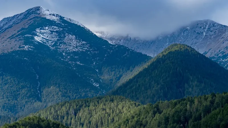 Forest and landscape view on the Pirin Mountains Traverse
