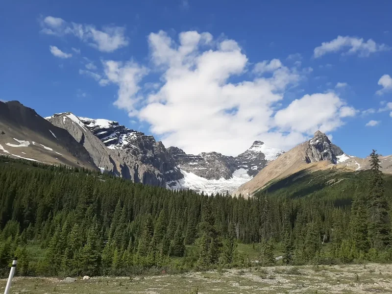 Forest and landscape view on the Plain Of Six Glaciers