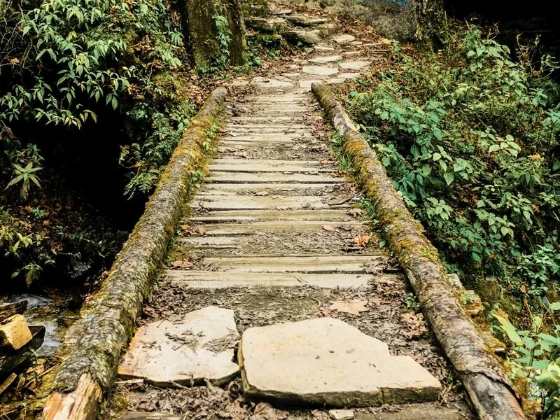 Hiking trail path on the Poon Hill Trek