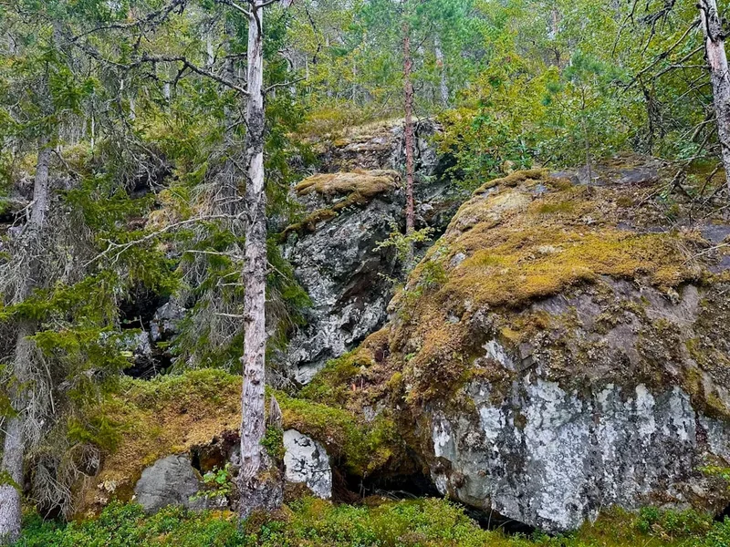 Forest and landscape view on the Pulpit Rock Preikestolen
