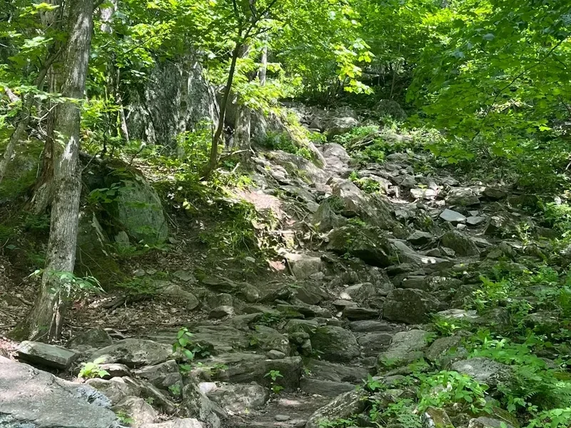 Hiking trail path on the Pulpit Rock Trail