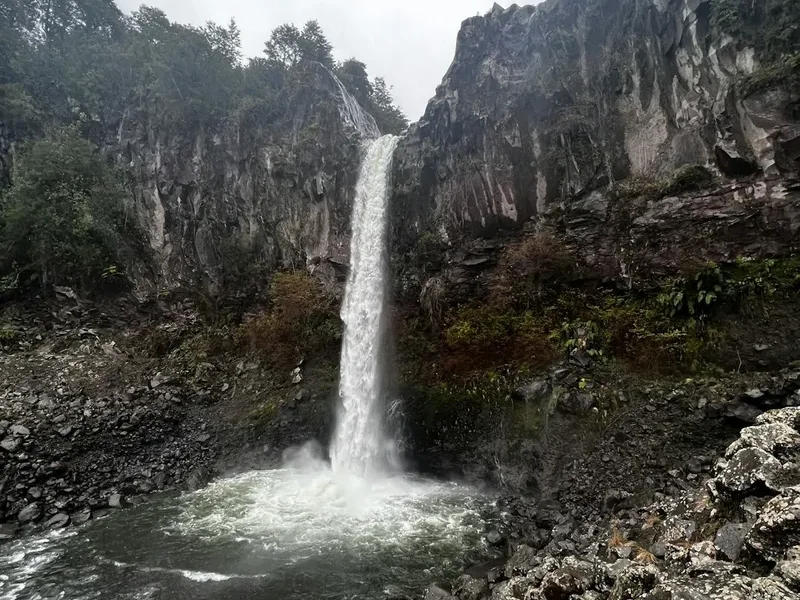 Hiking trail path on the Pumalin Cascadas Trail