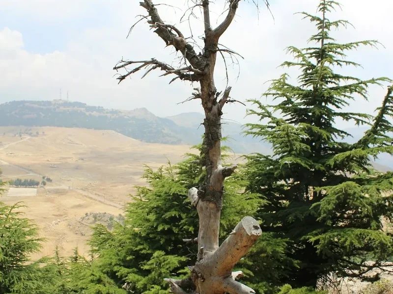 Qadisha Valley Trail - Visual 1