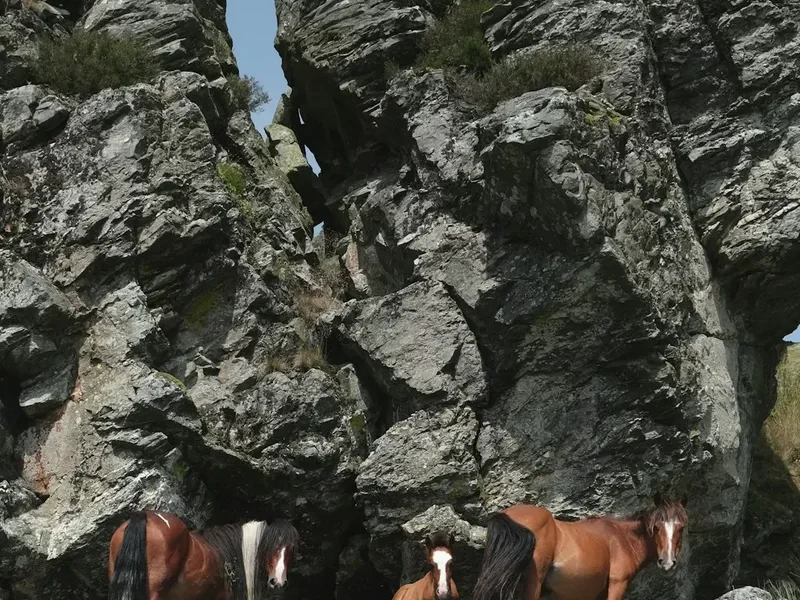 Mountain and nature scenery on the Rac De La Vache
