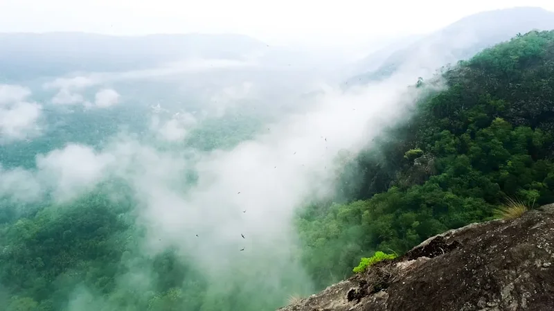 Mountain and nature scenery on the Rajgad Fort Trek